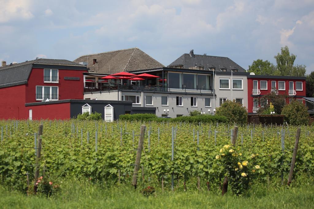 Naegler'S Fine Lounge Hotel Oestrich-Winkel Esterno foto